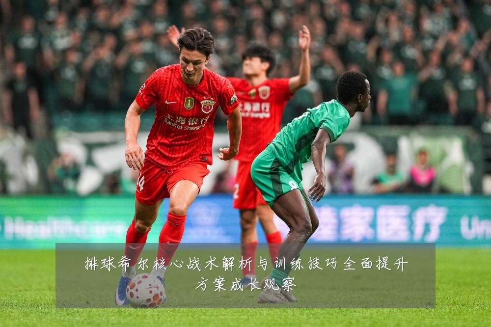 排球希尔核心战术解析与训练技巧全面提升方案成长观察